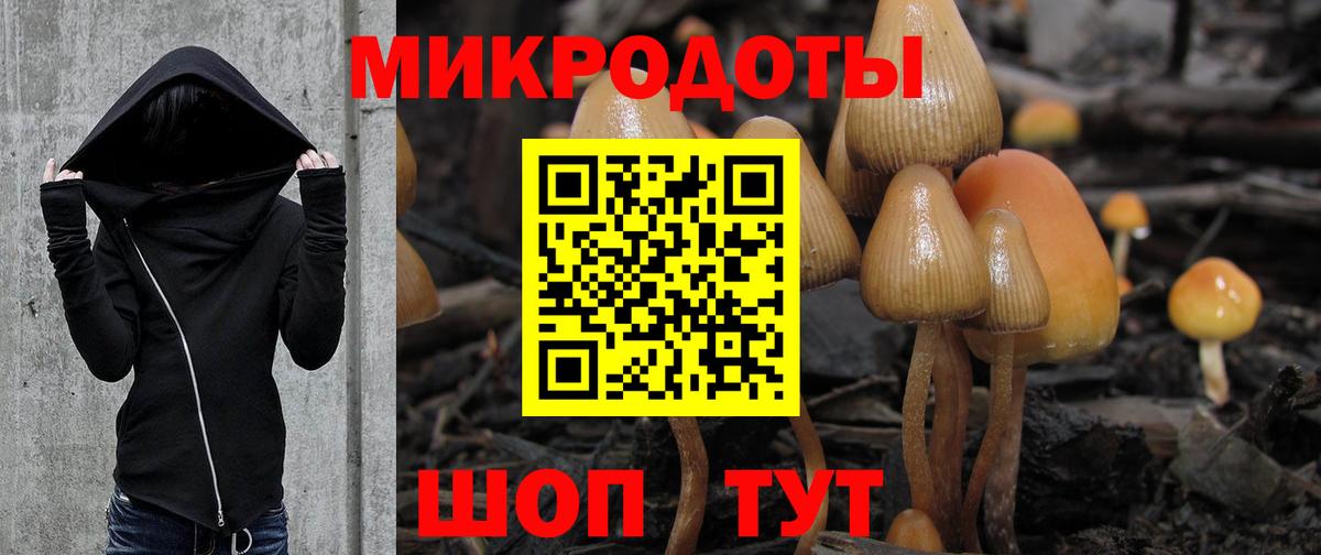 Псилоцибиновые грибы прущие грибы Красный Сулин